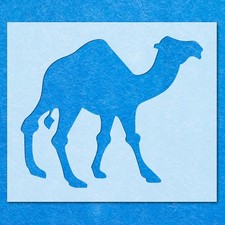 Camel hump african for sale  UK