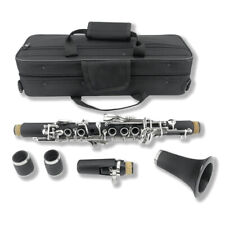 Yinfente professional clarinet gebraucht kaufen  Duisburg