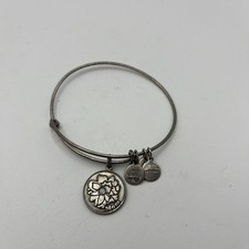 Alex ani 2013 for sale  West Babylon