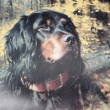 1994 lang dog for sale  Telford