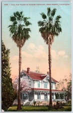 Cartão postal CA Fresno California Tall Fan Palms At Butler Vineyard Winery CA24 comprar usado  Enviando para Brazil