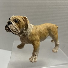 English bull dog for sale  Bangor