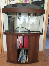 Top zustand aquarium gebraucht kaufen  Mainhausen