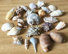 Job lot small for sale  ULVERSTON