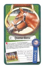 Carte top trumps d'occasion  Nancy-