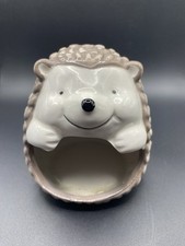 Hedgehog happy little for sale  Port Richey