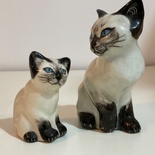 cats kittens for sale  COULSDON