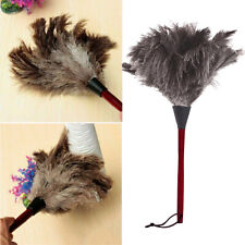 Anti static ostrich for sale  UK