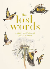 Lost words rediscover for sale  UK