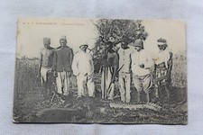 Madagascar chasse caïman d'occasion  Longpont-sur-Orge
