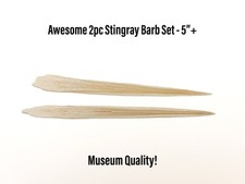 2pc southern stingray for sale  Corpus Christi