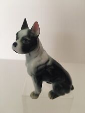 Black white boxer for sale  BRIGHTON