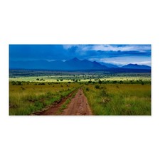 Safari landscape canvas for sale  Pomona