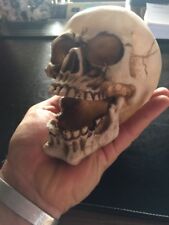 Skull ashtray office for sale  Brookings