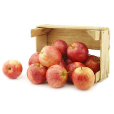 Ft. fuji apple for sale  USA