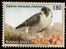 United nations endangered d'occasion  Expédié en Belgium