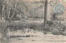 Forest meudon the d'occasion  Expédié en Belgium
