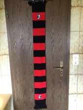 Schal freiburg bundesliga gebraucht kaufen  Karlsruhe