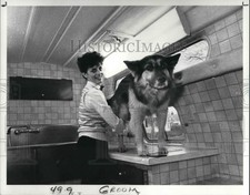 1987 press photo for sale  Memphis