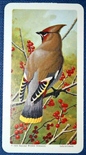 Waxwing vintage 1966 for sale  DERBY