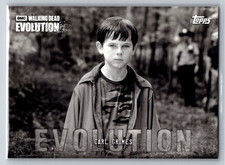 Carl grimes 2017 d'occasion  Expédié en Belgium
