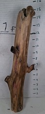 Driftwood natural aquarium for sale  Brookwood