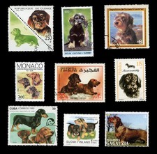 Coleção de 9 selos postais internacionais de cães DAXI de pelo de arame DACHSHUND, usado comprar usado Coleção de 9 selos postais internacionais de cães DAXI de pelo de arame DACHSHUND, usado comprar usado  Enviando para Brazil