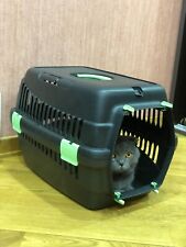 Pet dog puppy for sale  UK