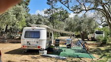 Wohnwagen eriba hymer gebraucht kaufen  Schönau