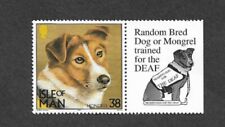 Dogs random mongrel for sale  MONTGOMERY