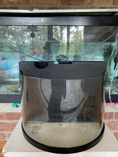2.5 gallon betta for sale  Belle Mead