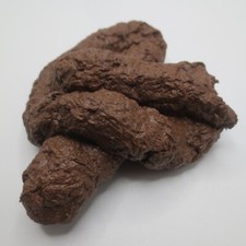 poop fake toys for sale  Simi Valley