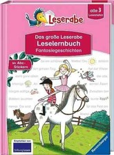 Große leserabe leselernbuch gebraucht kaufen  Lemwerder