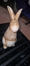 Clayre eef rabbits for sale  STOCKTON-ON-TEES