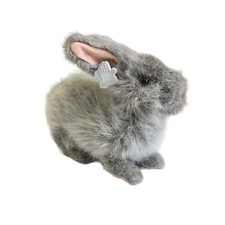 Bunny rabbit plush for sale  Bucyrus