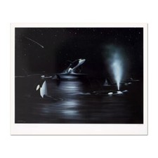 Wyland orca starry for sale  USA