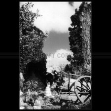 Photo f.002401 baron usato  Spedire a Italy