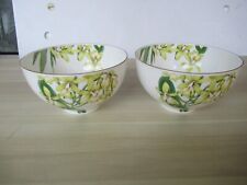 Villeroy boch amazonia gebraucht kaufen  Fürth