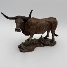 Texas longhorn north for sale  Lexington