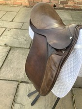 Brown falcon osprey for sale  UK