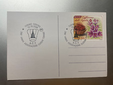 2008 cartolina filatelica usato  Roma