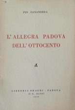 Zanandrea pio allegra usato  Italia