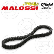 Malossi 6113396 cinghia usato  San Marco Evangelista