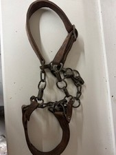 Schweres lederhalfter ketten gebraucht kaufen Schweres lederhalfter ketten gebraucht kaufen  Remscheid