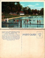 Morgans swimming pool for sale  Mansfield