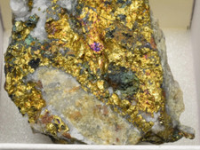 Minerale calcopirite aurifera usato  Napoli