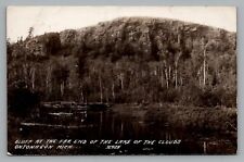 Rppc view bluff for sale  Okemos