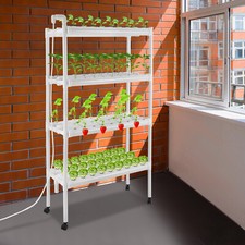 108 plantsite hydroponic usato  Spedire a Italy