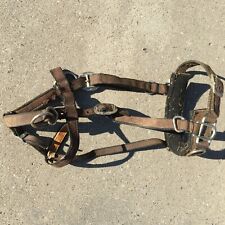 Lunging cavesson nylon for sale  Madison
