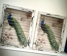 Peacock window shutter for sale  Burlington